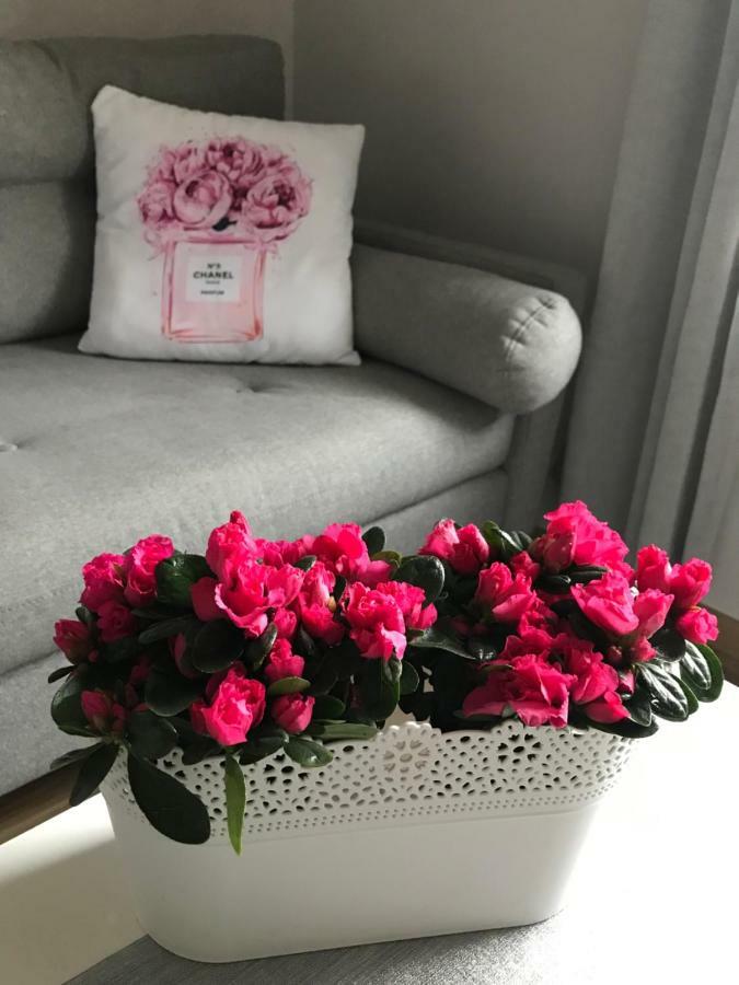 Glamour Apartment Przy Plazy, Z Parkingiem Prywatnym Sopot Eksteriør billede